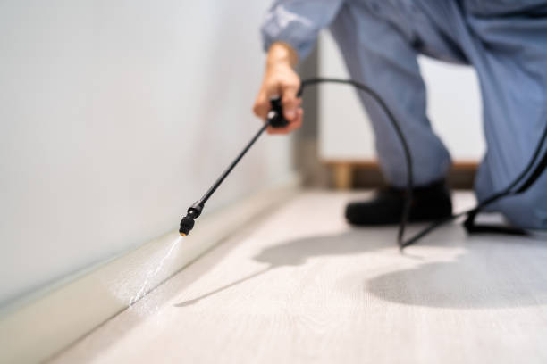 Professional exterminator conducting IPM assessment in Fairfield