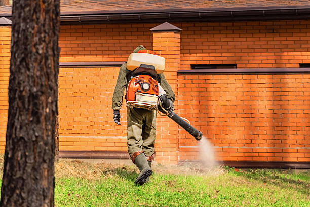 Top rated local Wasp Removal specialists in Fairfield, AL